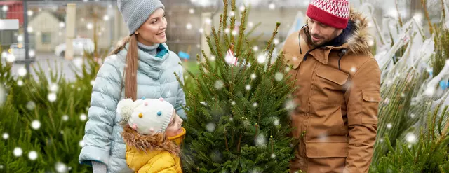 Familie beim Aussuchen des Weihnachtsbaums